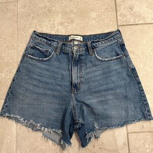Abercrombie & Fitch Curve Love The Dad Shorts